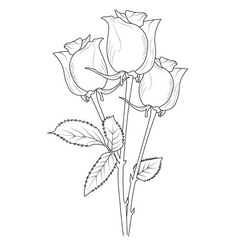 rose flower drawing is easy for kids, pencil how to draw a rose, rose ...