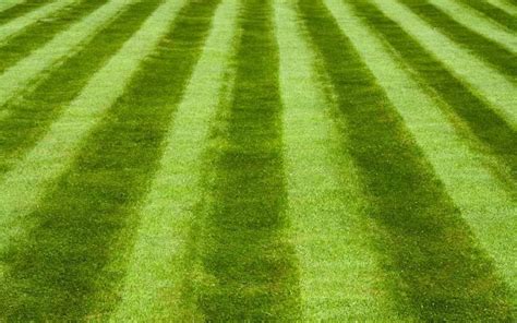 Lawn Striping Guide - Pro Tips For The Best Stripe Pattern