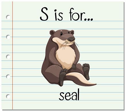 Flashcard Letter S Is For Seal Stock Illustration - Download Image Now ...