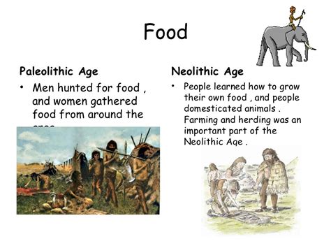 The differences between paleolithic and neolithic ages