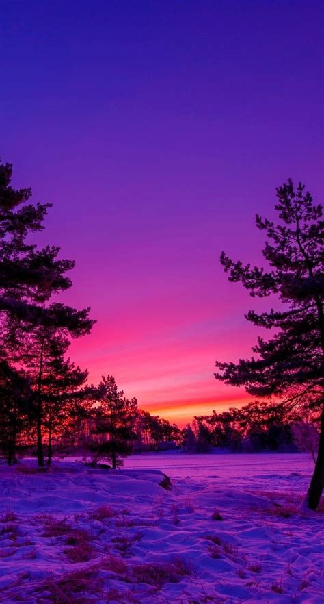 Purple Nature, nature, orange, HD phone wallpaper | Peakpx