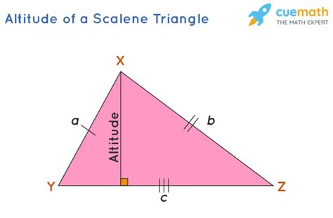 Altitude of a Triangle - Definition, Formulas, Properties, Examples