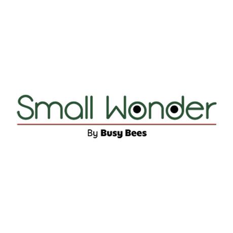 Small Wonder - Preschool (2024) reviews