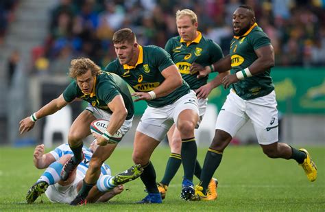 In-form Springboks climb rankings