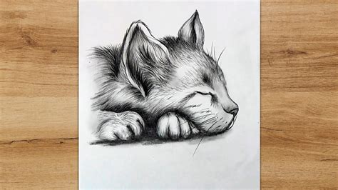 How to Draw a Sleeping Cat | Cat Sketch Step by Step - YouTube