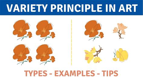 What is Variety in Art? (3 Types, Examples and Tips) - YourArtPath