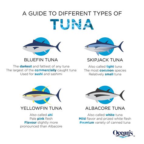 A Guide to Different Types of Tuna | Ocean's