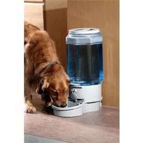 NEW 5 Gallon Water Container Ergo Automatic Pet Water Fountain ...