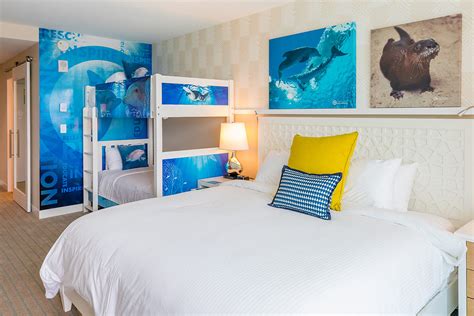 Winter the Dolphin Themed Rooms | Clearwater Marine Aquarium