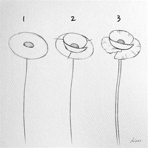 How To Draw A Flower Step By With Pictures | Best Flower Site