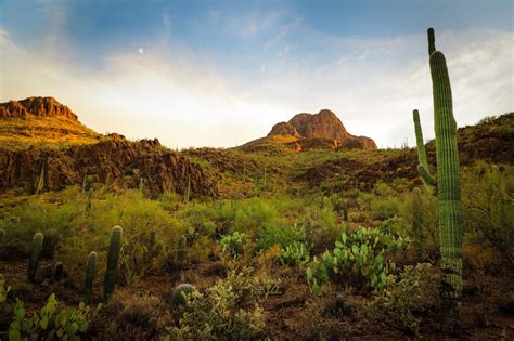 Pima County Candidates Battle Over Whether the Prosecutor’s Office ...