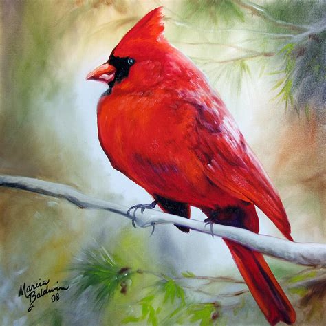 Cardinal 18 Painting by Marcia Baldwin - Fine Art America