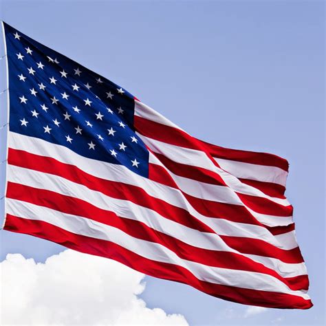 United States of America Flag | Buzz Photos