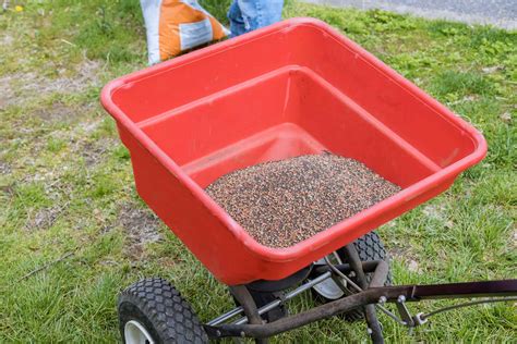 Can You Use a Salt Spreader for Fertilizer? - Single Girl's DIY