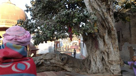 Kaliya Ghat - Place where Krishna subdued the kaliya serpent Urban Yogi