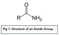 Amine Vs Amide Structure