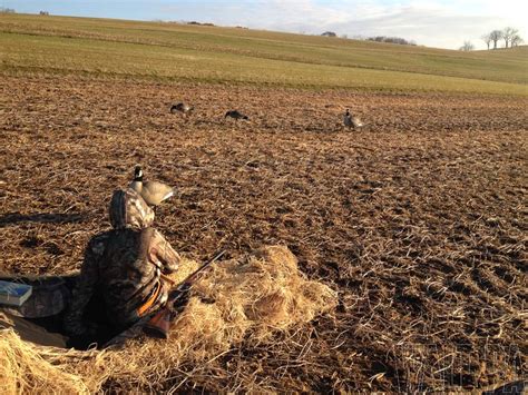 Goose Hunting: A Very Memorable Experience - Walt In PA