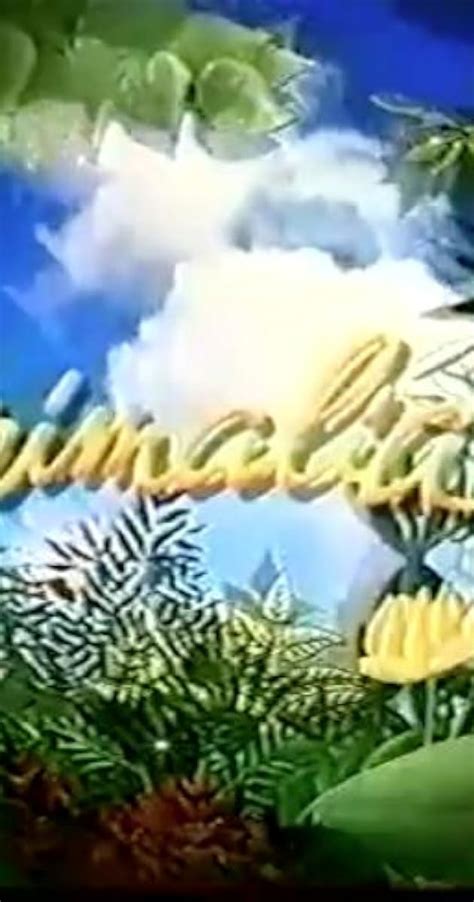 Animalia - Episodes - IMDb