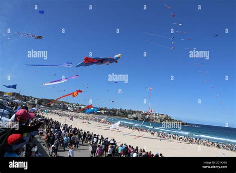 Australia’s largest kite flying festival, the ‘Festival of the Winds ...