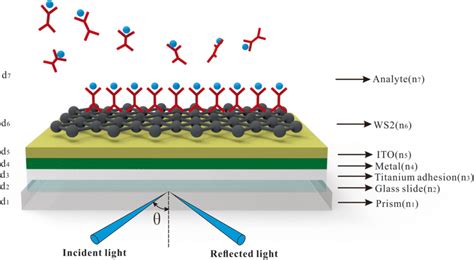 Schematic diagram of the proposed SPR biosensor with metal–ITO hybrid ...