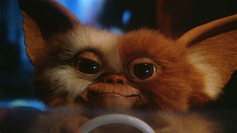 Gremlins Gizmo Wallpapers - Wallpaper Cave