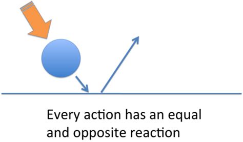 Newton's 3rd law of motion Flashcards | Quizlet