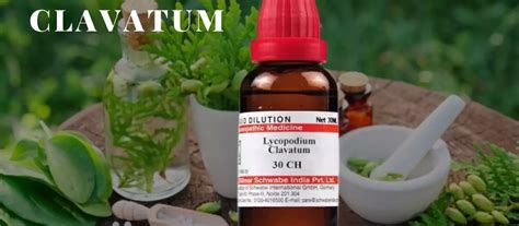 Lycopodium Clavatum 30, 200, 1M: Uses, Dosage & Benefits - Dr. Pranjali