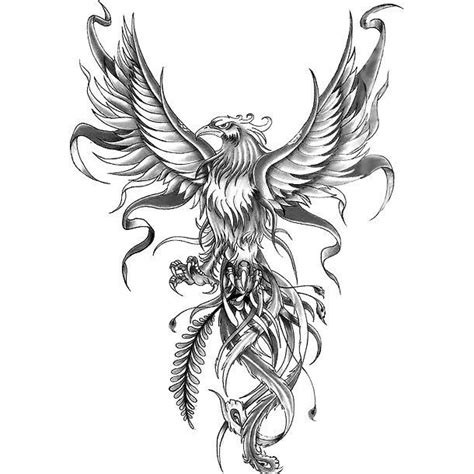 The phoenix is generally thought to be a symbol of freedom. Color: Gray ...