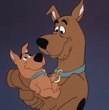 Scooby-Doo and Scrappy-Doo (relationship) | Scoobypedia | FANDOM ...