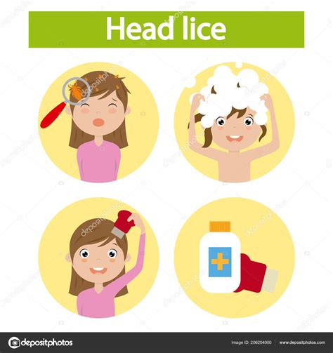 Girl Lice Step Step How Remove Lice Stock Illustration by ©sbego #206204000