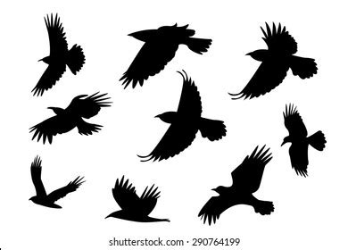 Black Bird Flying Silhouette