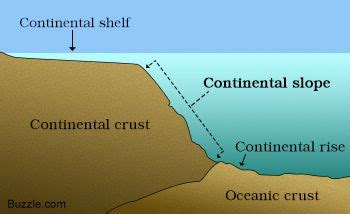 Continental slope diagram | Fun facts, Continental shelf, Facts