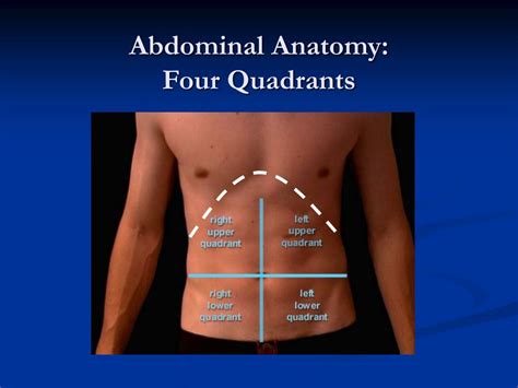 Abdominal Quadrants Diagram