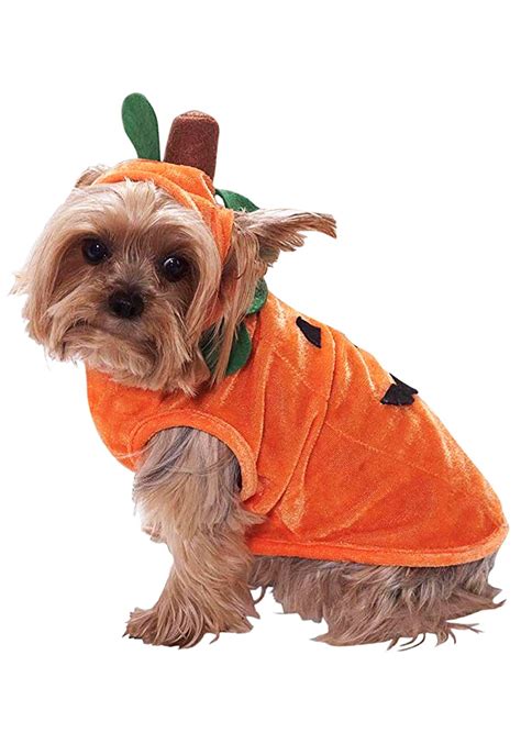 Dog Pumpkin Costume