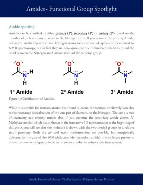 Amides - Functional Group Spotlight - Organic Chemistry Explained