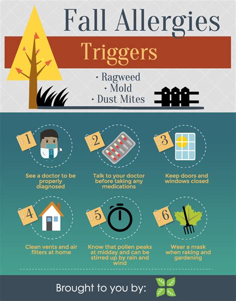 Fall Allergies 2024 Symptoms - Corey Donella