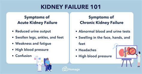 Kidney Failure 101: Symptoms, Stages, Causes & Prevention - Homage Malaysia