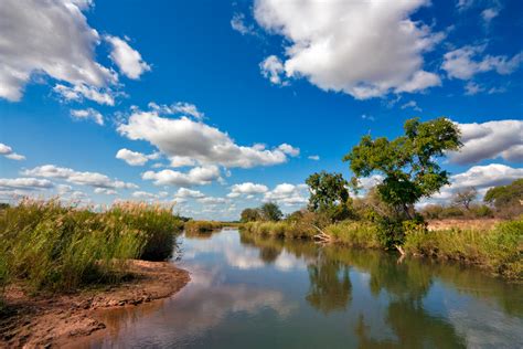 Free photo: Kruger Park Landscape - Africa, South, Reflections - Free ...