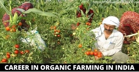 Career in Organic Farming in India | Thinksknowledge