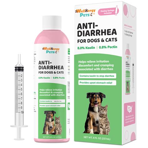 Wellnergy Pets Anti-Diarrhea for Dogs and Cats with Syringe, 8oz ...