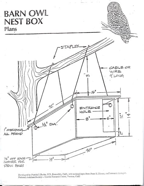 DIY barn owl nesting box plans, pg 1 | Owl nest box, Nesting boxes ...