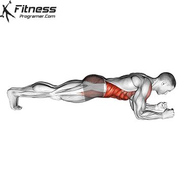 How To Do The Perfect Plank | Muscles Worked And Benefits