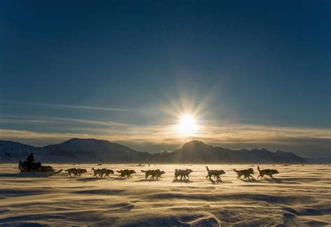 Ittoqqortoormiit: Greenland's Most Isolated Town | The Vale Magazine