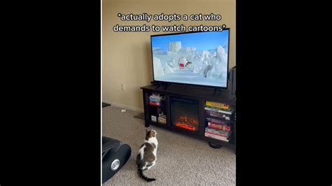 This cat loves watching cartoons on TV. Watch adorable video | Trending ...