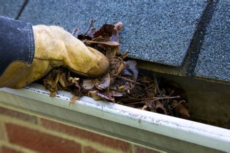 Gutter Cleaning Safety Tips | Tario & Associates, P.S.