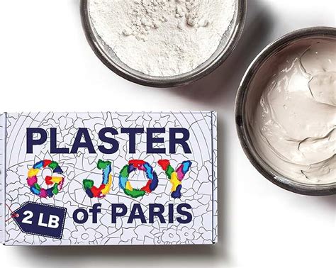 Amazon.com: plaster of paris molds