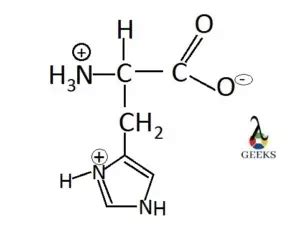 Histidine Structure:Detailed Explanations – Lambda Geeks