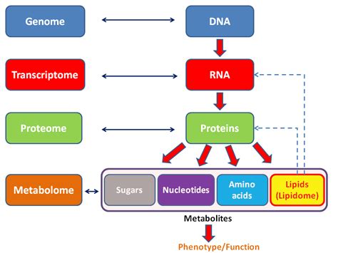 Woo-omics – Science-Based Medicine