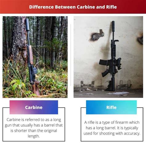 Carbine vs Rifle: Difference and Comparison