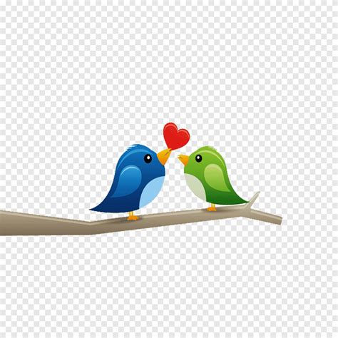 Love Birds Images Cartoon